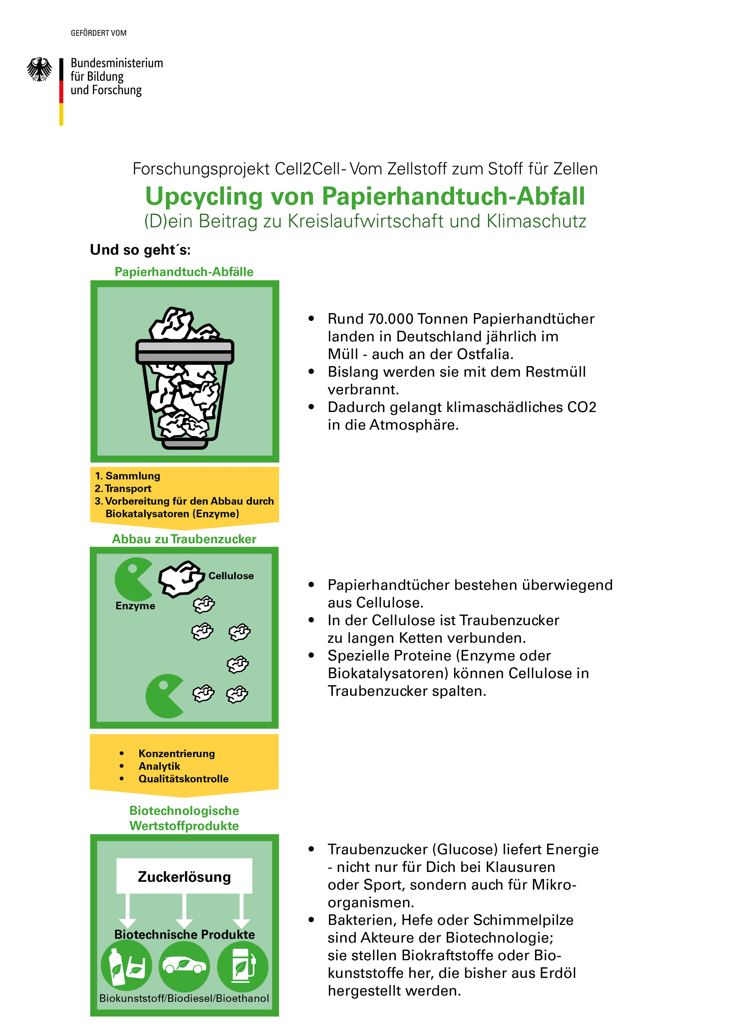 Forschungsprojekt - Upcycling von Papierhandtuch-Abfall