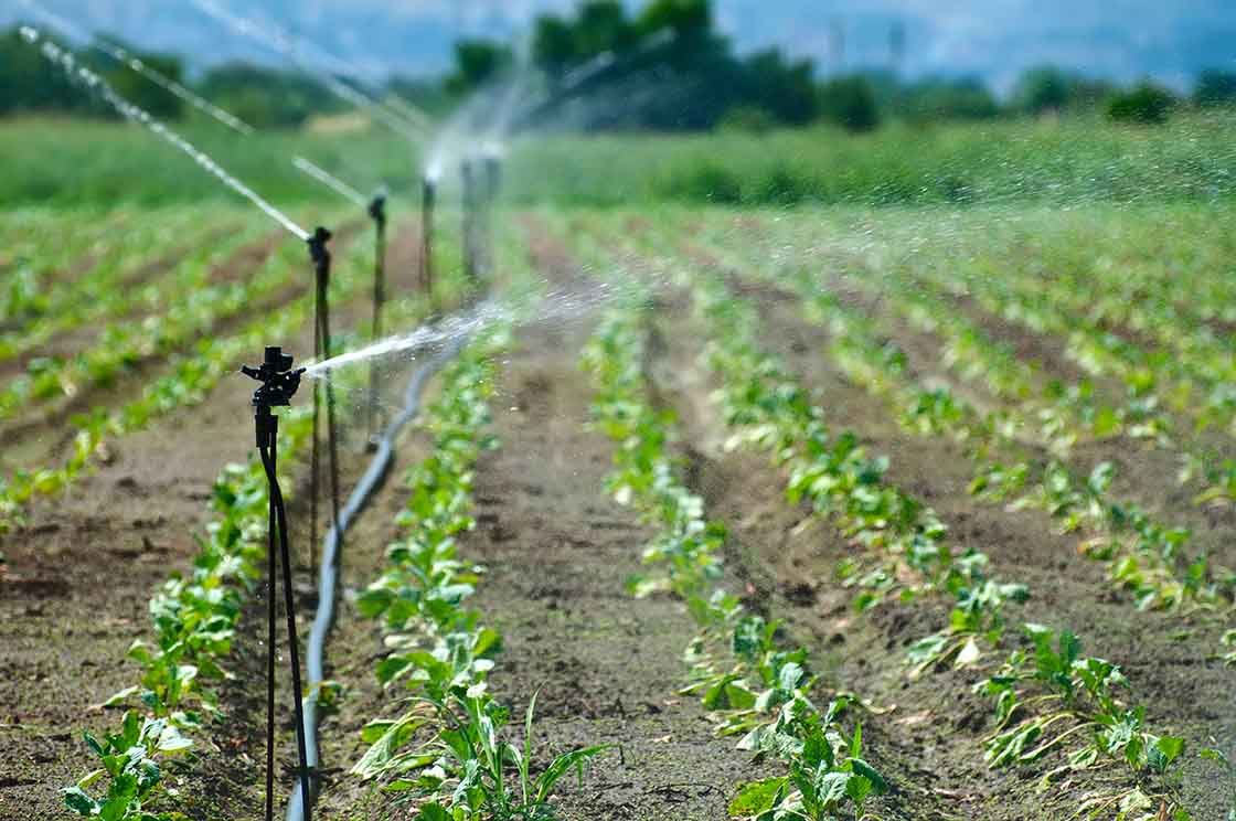 Bewässerung_Landwirtschaft_web