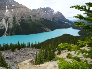 Peyto LakeAlberta