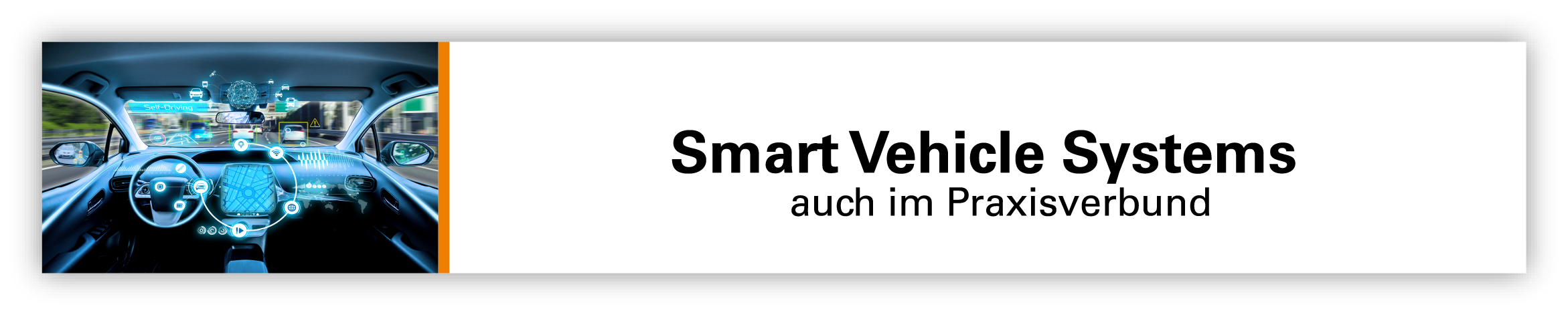 SVSMenü