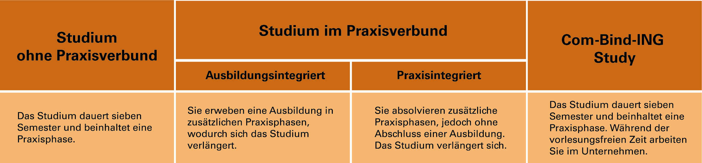 Grafik Optionen Studis