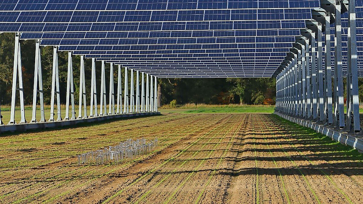 Agri-Photovoltaik-Teaser