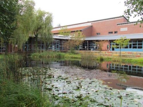 Teich am Campus Suderburg