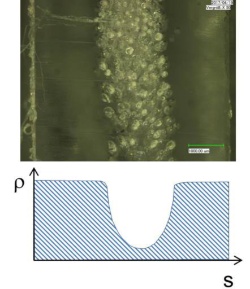 Dichtegradient