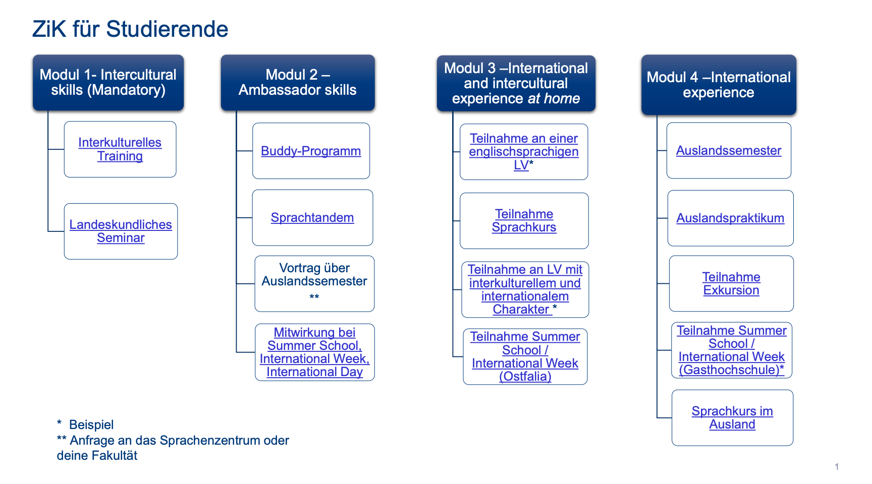 Module Studierende ZiK