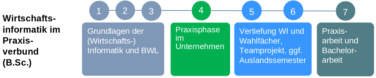 Studienplan Wirtschaftsinformatik Bachelor im Praxisverbund