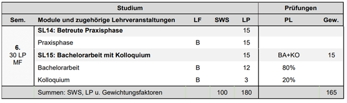 Curriculum 6. Semester