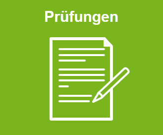 SRM-Wegweiser: Prüfungen - Stadtmanagement/Regionalmanagement
