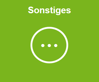 SRM-Wegweiser: Sonstiges - Stadtmanagement/Regionalmanagement
