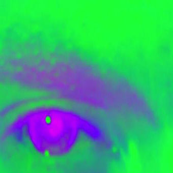 MD_meinhardt_5.sem