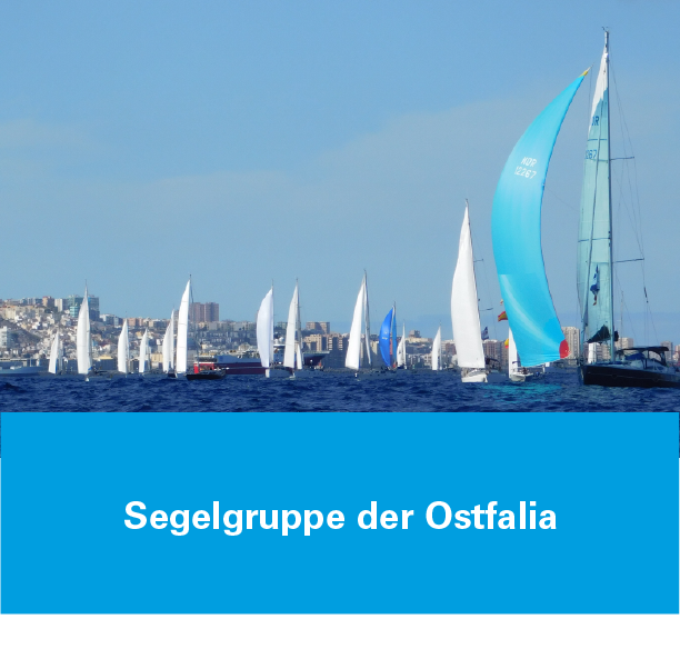 Sozialkompetenzworkshops_Mockup_293x280px_Segelgruppe der Ostfalia