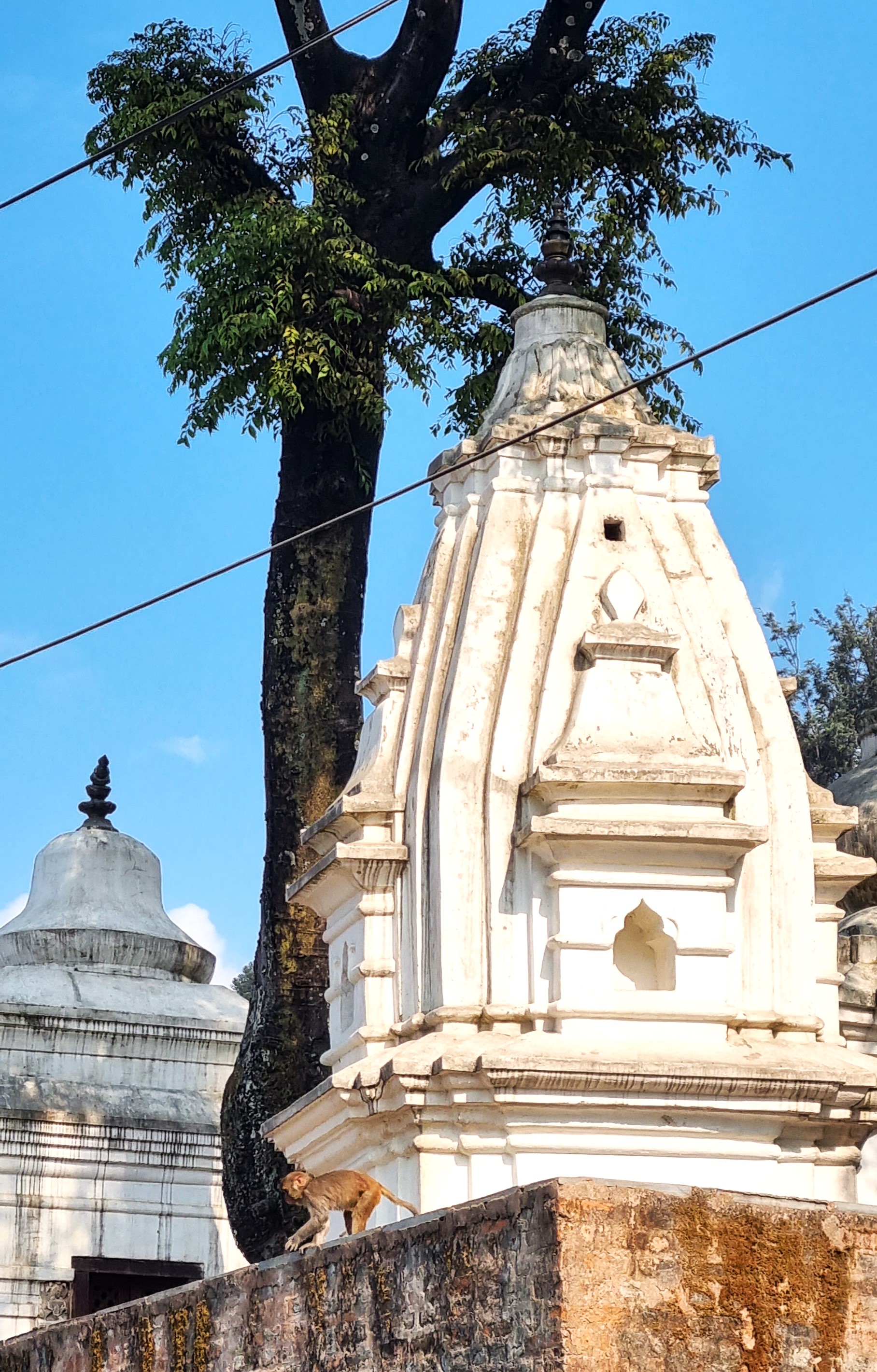 Stupa am Pashupatinath Tempel