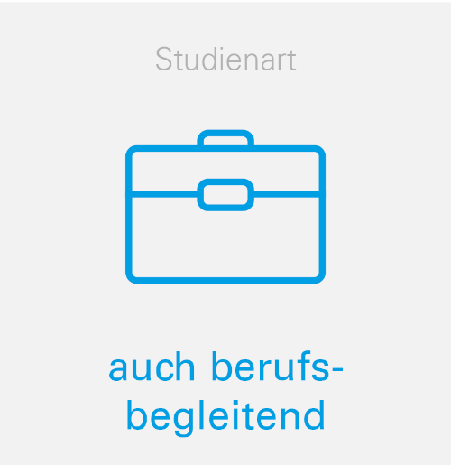 Studienart (auch berufsbegleitend)