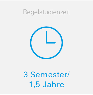 Regelstudienzeit (3 Semester)