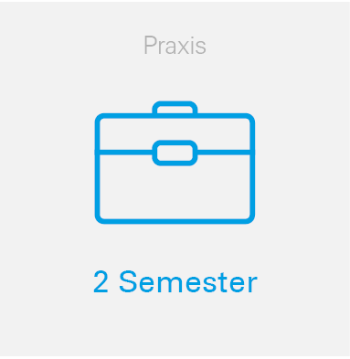 Praxis (2 Semester)