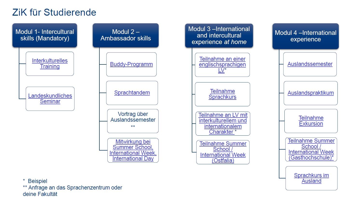 Modulübersicht für das Zertifikat für interkulturelle Kompetenz (ZiK)