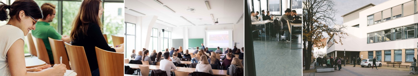 Studienangebot
