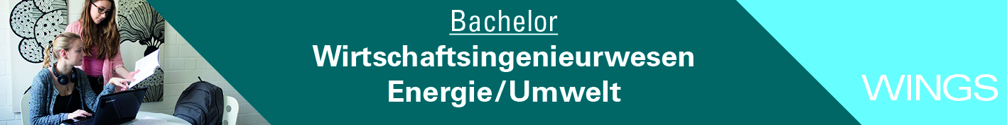 Bachelorstudiengang Wirtschaftsingenieurwesen 