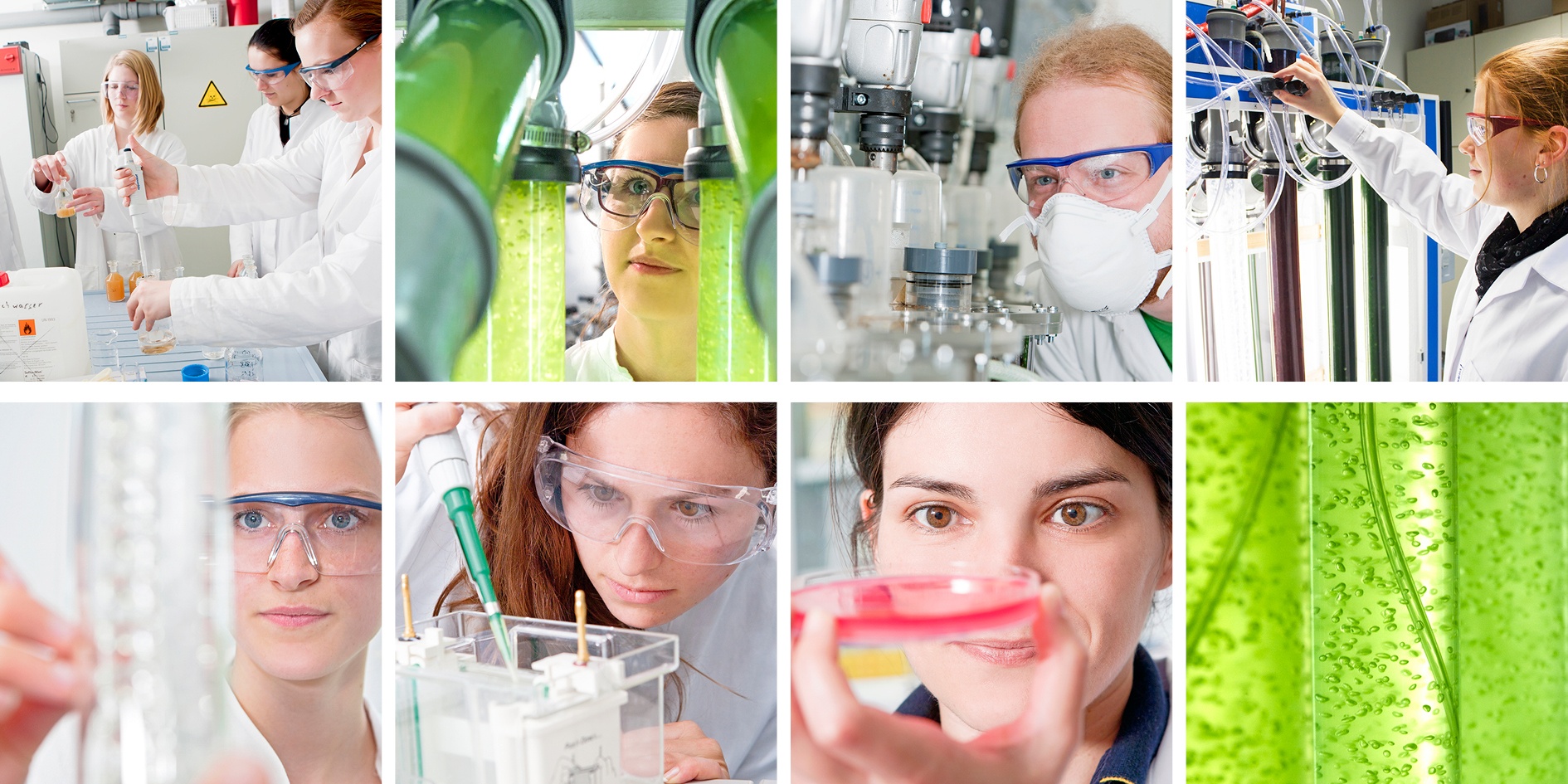 Einblicke in das Studium Bio- und Umwelttechnik