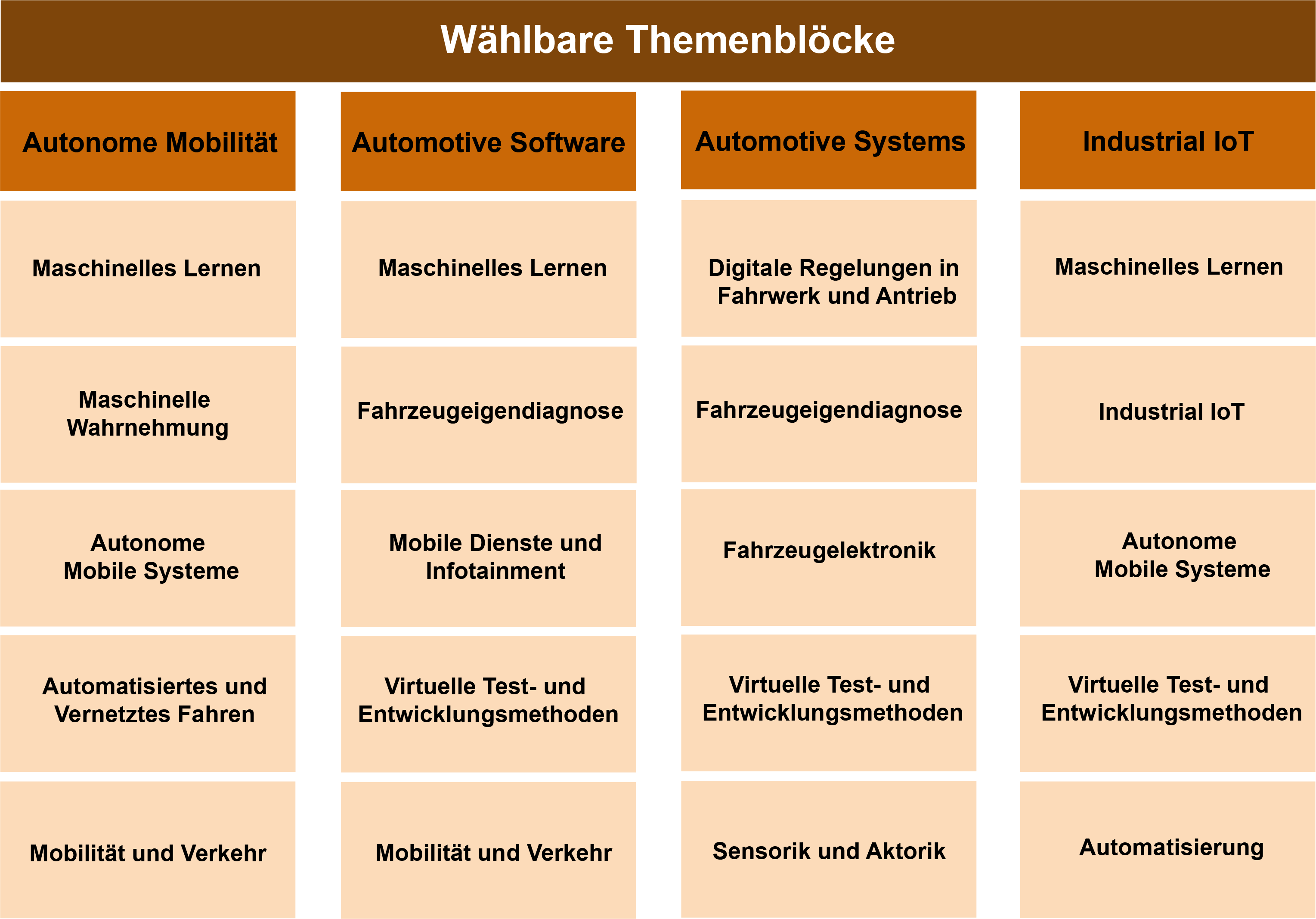 Fahrzeuginformatik (FIF)