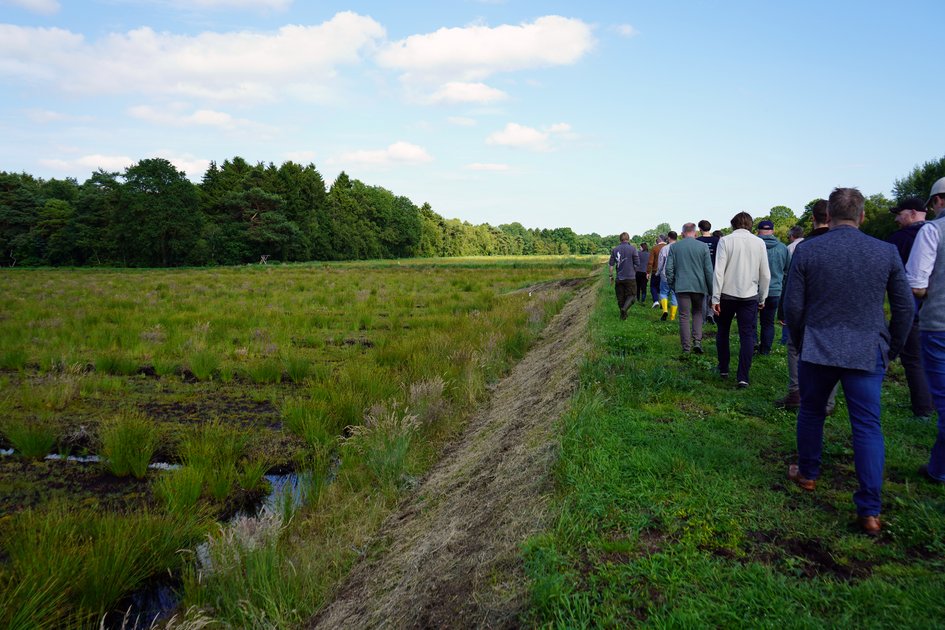 Besichtigung der MoniMoor-Untersuchungsflächen im Gnarrenburger Moor. Foto: Marie Ruhm/Ostfalia