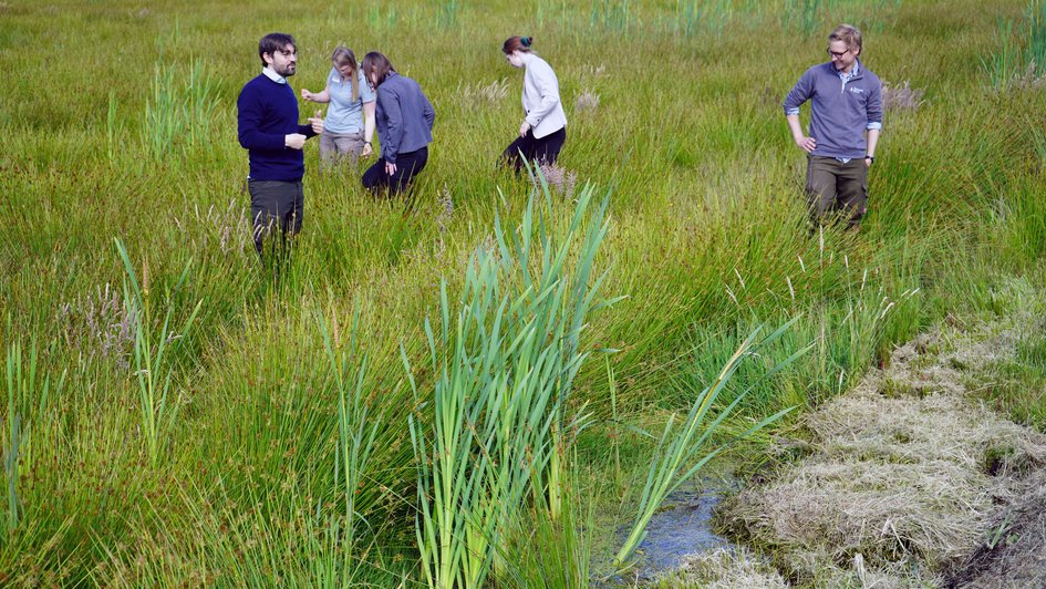 Die Teilnehmenden besuchten die MoniMoor-Untersuchungsflächen im Gnarrenburger Moor. Vor Ort wurden innovative Ansätze nasser Bewirtschaftungsformen vorgestellt und gemeinsam deren Potenziale und Herausforderungen diskutiert. Foto: Marie Ruhm/Ostfalia