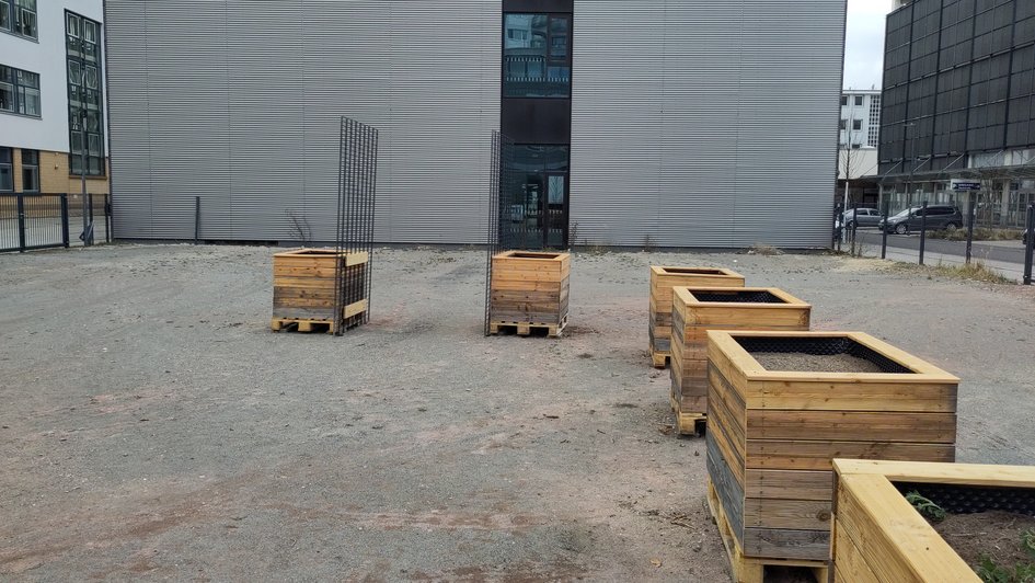 Hochbeete des NawaRo-Garten vor der Ostfalia.