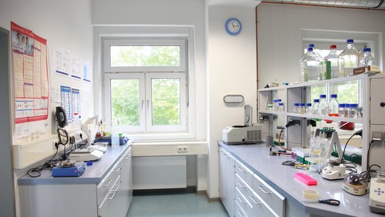 Einblick in das Labor für Biotechnologie und Molekularbiologie