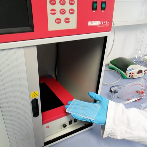 DNA Analytik im Labor für Biotechnologie und Bioökonomie