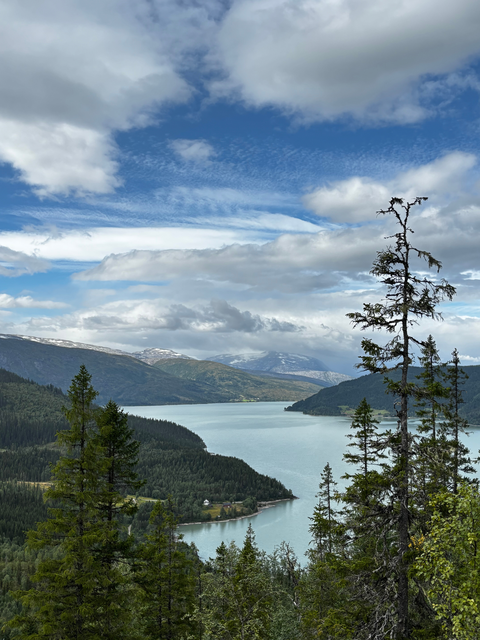 Blick auf die Fjorde von Norwegens (öffnet Vergrößerung des Bildes)