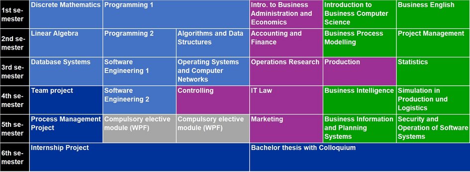 Modules Business Computer Science (B.Sc.) - only starting in winter semester