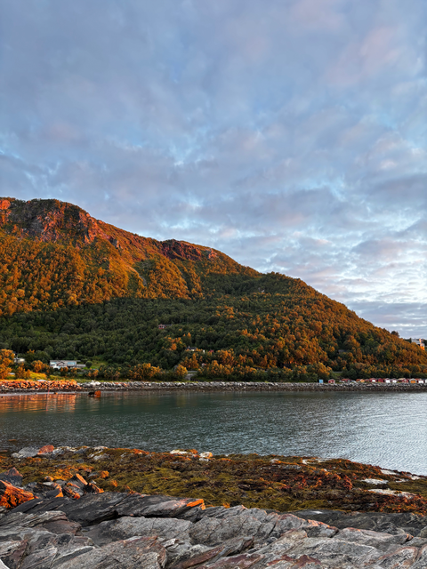 Blick auf die Fjorde von Norwegens (öffnet Vergrößerung des Bildes)
