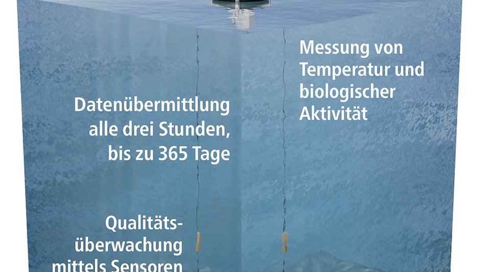 Grafik, die zeigt, wie die Boje funktioniert.