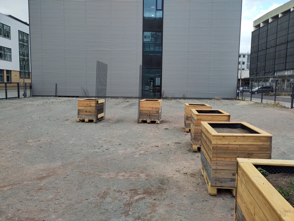 Neu befüllte Hochbeete vor der Ostfalia in Wolfsburg.