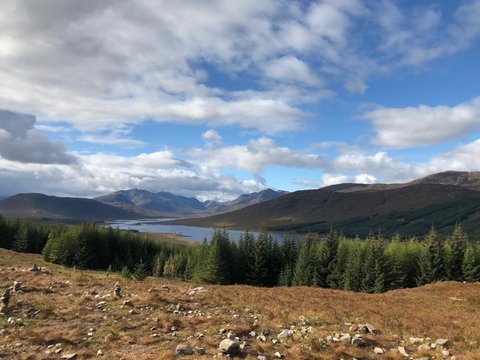 Landschaft mit leichten Bergen in Schottland (öffnet Vergrößerung des Bildes)