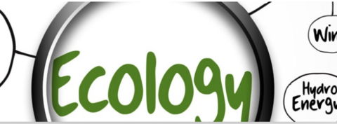 fdfsfdsf (öffnet Vergrößerung des Bildes)