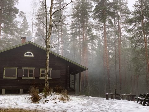 Waldhütte im Wald von Finnland (öffnet Vergrößerung des Bildes)