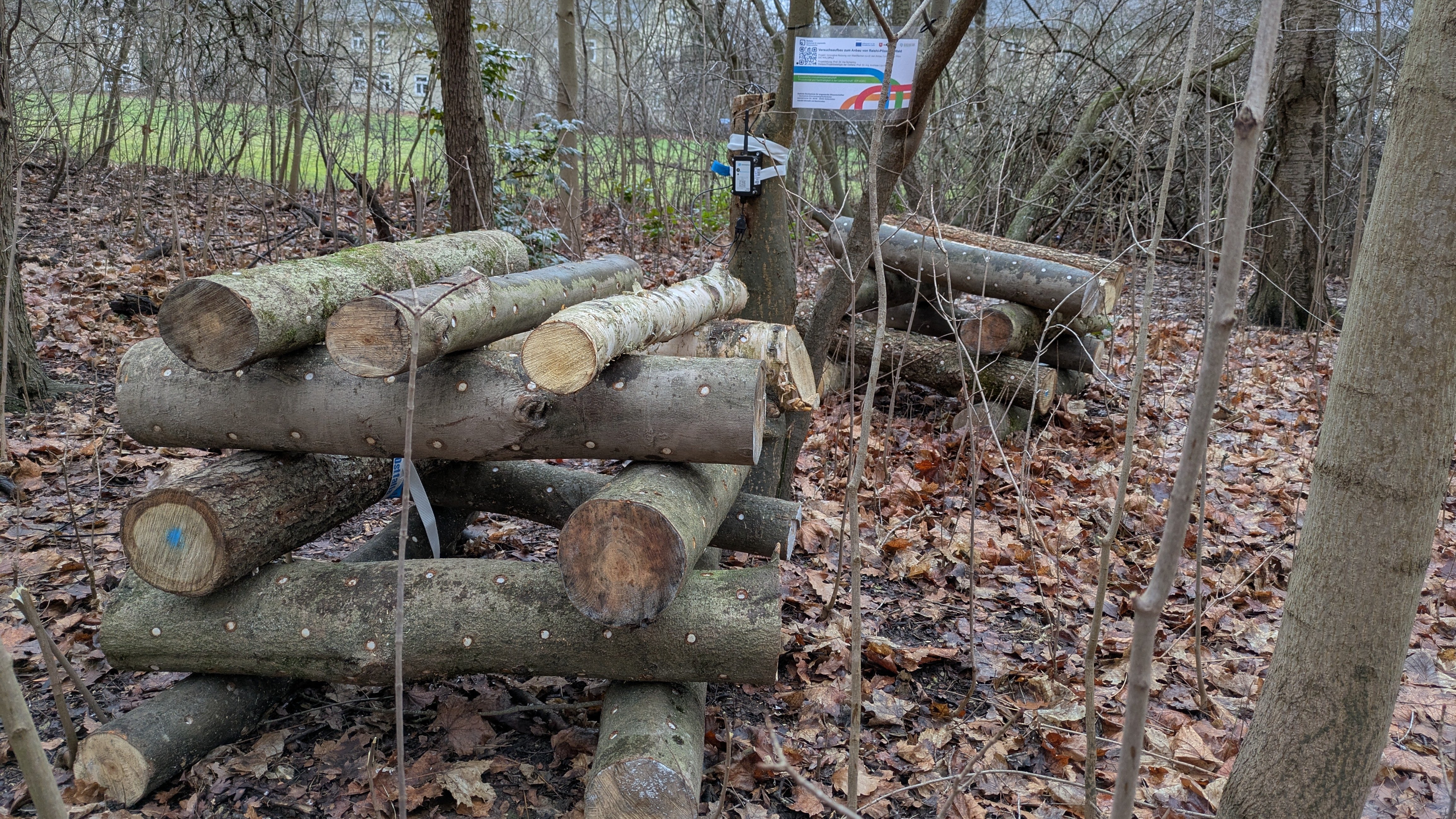Versuchsaufbau Am Exer in Wolfenbüttel