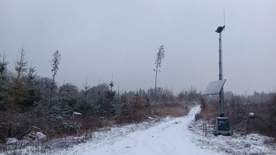 Das Gateway steht mit ausgefahrenem Mast am Wegesrand in einer Kalamitätsfläche im Wald. Das Bild ist im Winter mit Schnee aufgenommen. 