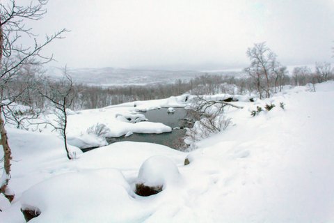 Schneelandschaft in Finnland (öffnet Vergrößerung des Bildes)