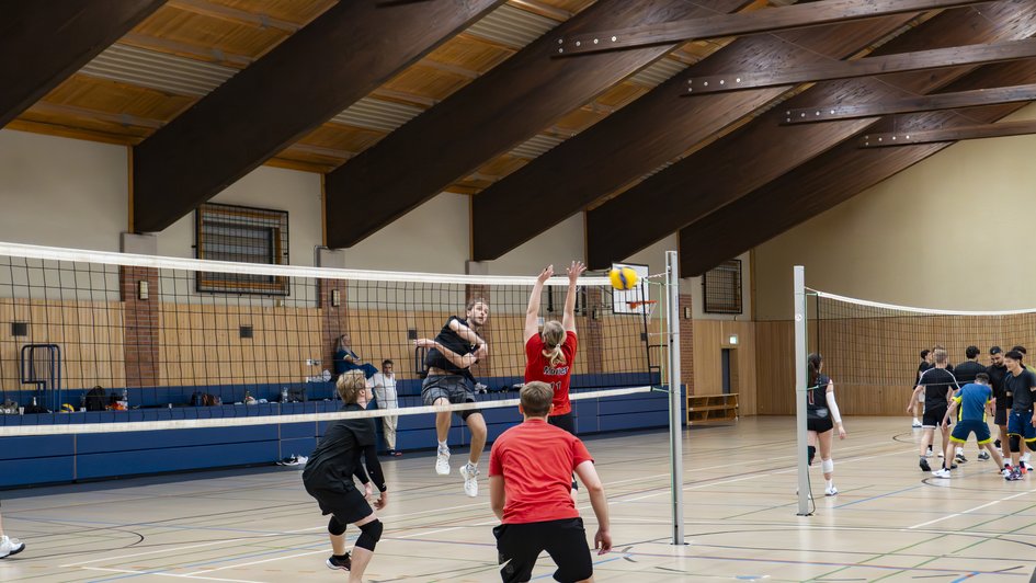 Volleyball-N8