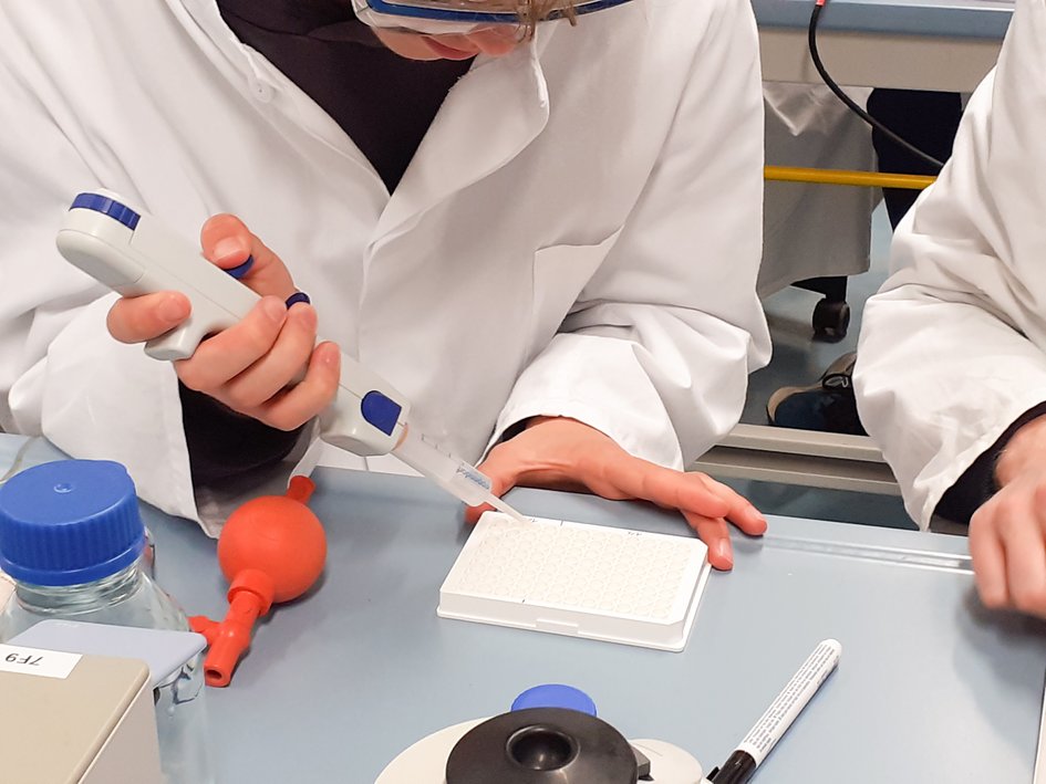 Studierende im Labor führen ein Versuch durch