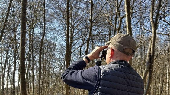 Waldpädagoge im Wald mit Fernglas