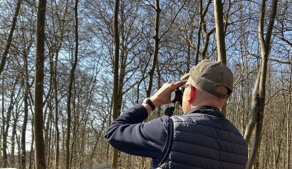 Waldpädagoge im Wald mit Fernglas