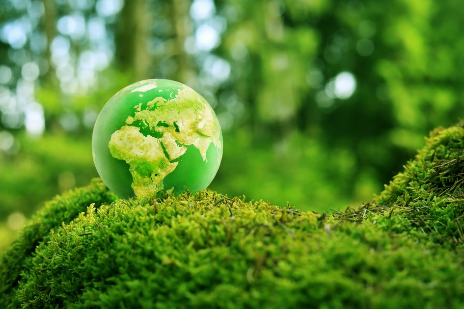 A green globe in a green ecosystem. Photo: Colourbox