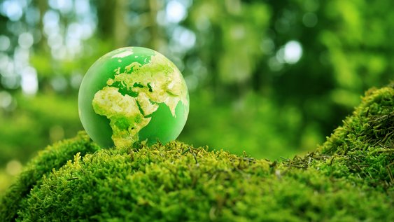 A green globe in a green ecosystem. Photo: Colourbox