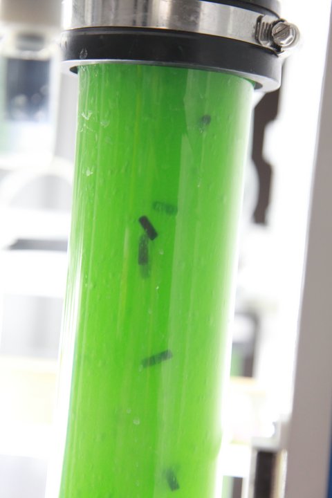 Bioreaktor im Labor für Biotechnologie und Bioökonomie