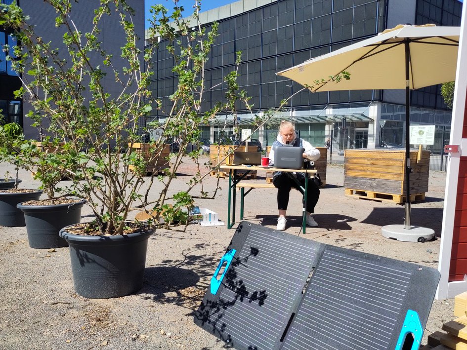 Hier entsteht der NawaRo-Garten, der zeigt welche Pflanzen Potenzial für technische Anwendungen haben.