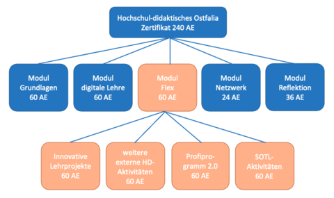 Hier ist die Struktur des Zertifikatsprogramm abgebildet: 5 Module (Grundlagen, digital Lehre, Flex, Netzwerk, Reflektion)