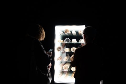 Rundgang durch die Ausstellung "Midnight Zone" im Kunstmuseum Wolfsburg. (öffnet Vergrößerung des Bildes)